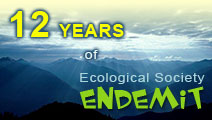12 years of Endemit